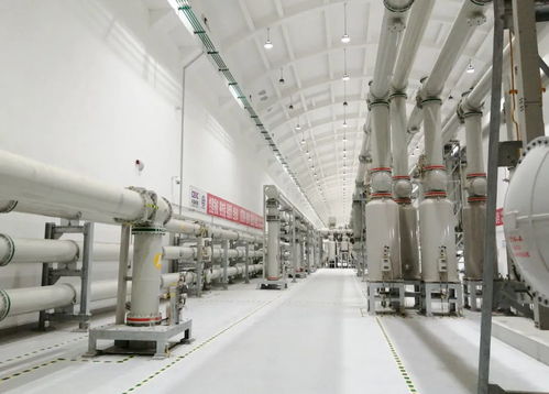 屢屢突破，走向世界——埃克倫斯電氣的全球征程